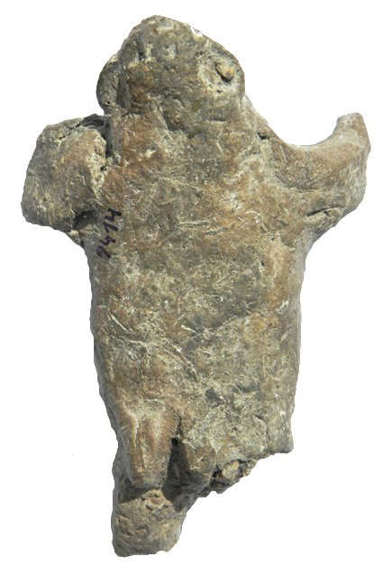 Frauenkroete ventral