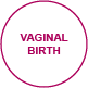 birth vaginalbirth