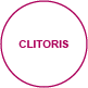 exteriorview clitoris