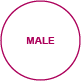 genderidentity male