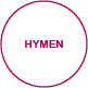 interiorview hymen