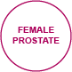 interiorview prostate