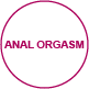 orgasm analorgasm