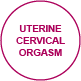 orgasm uterinecervicalorgasm