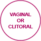 orgasm vaginalorclitoral