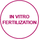 reproduction invitrofertilization